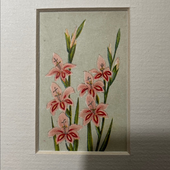 Other - Vintage Dutch Bulb Card Pink “Blushing Bride” Matted